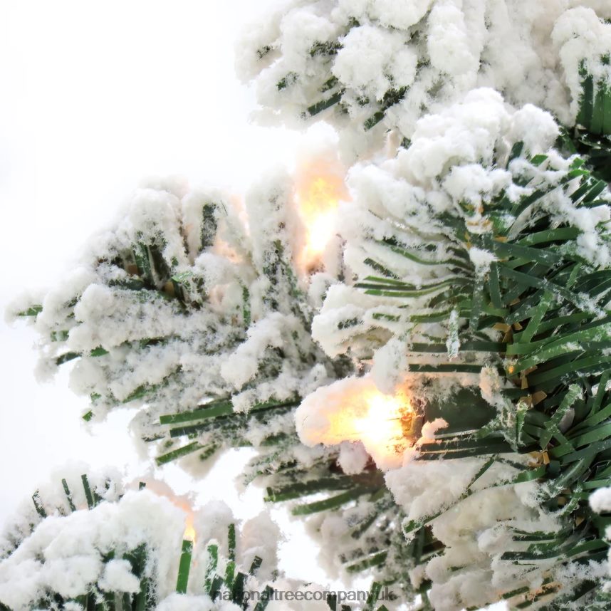 Trees | National Tree Company 75 Feet Pre-lit Artificial Frosted Bonnyville Spruce Hinged Tree 700 Clear Lights- UL F2L4F90